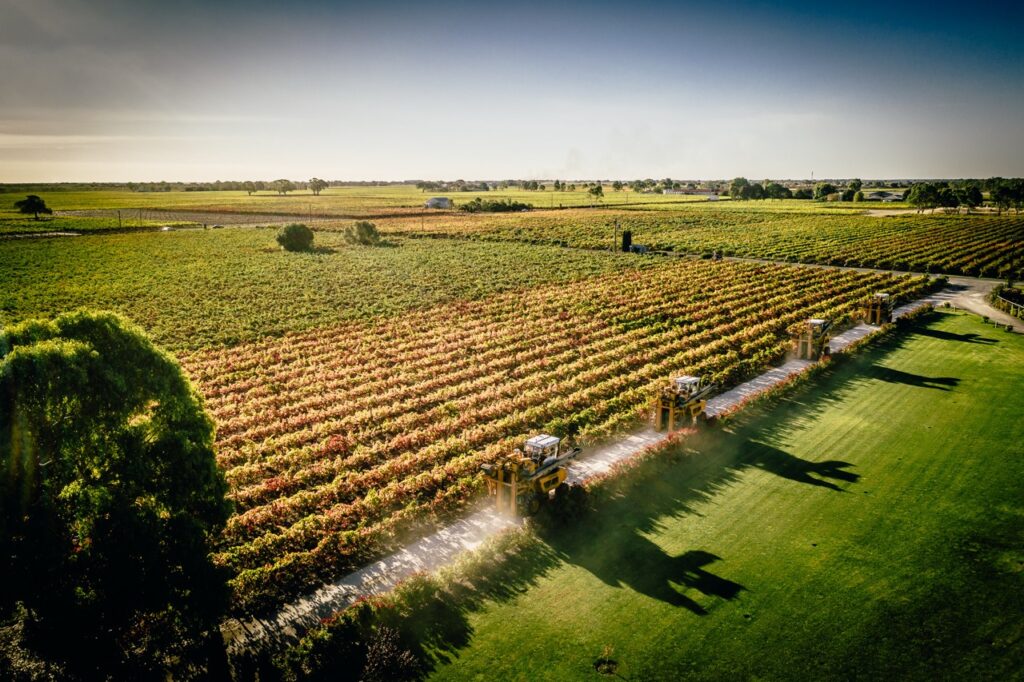 Coonawarra